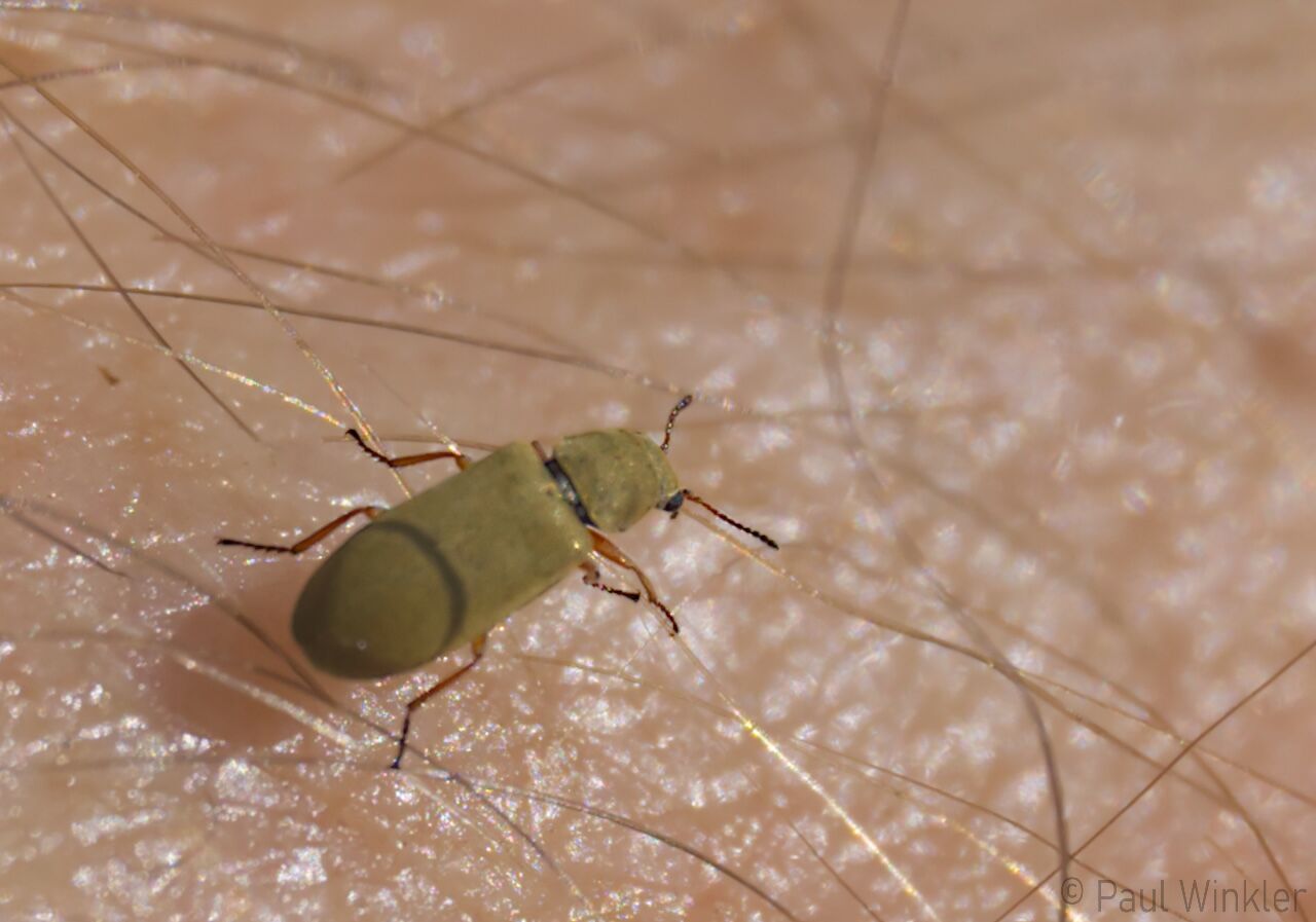 RLP  2025  personal moment