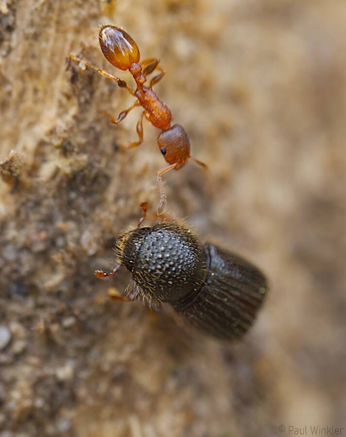 RLP  2024  with friend...